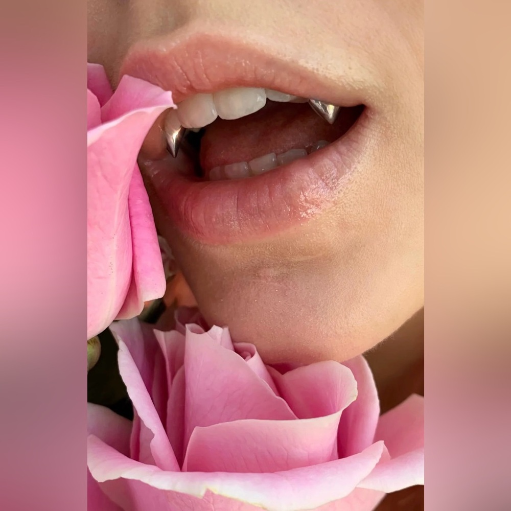 NEW/ NIB Stonehart Jewelry Sterling Silver Fangs